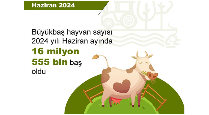 TÜİK: Büyükbaş varlığı azaldı, küçükbaş varlığı arttı
