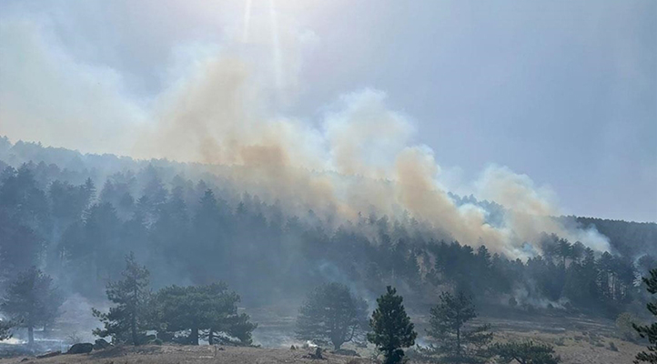Balıkesir’de orman yangınına müdahale ediliyor