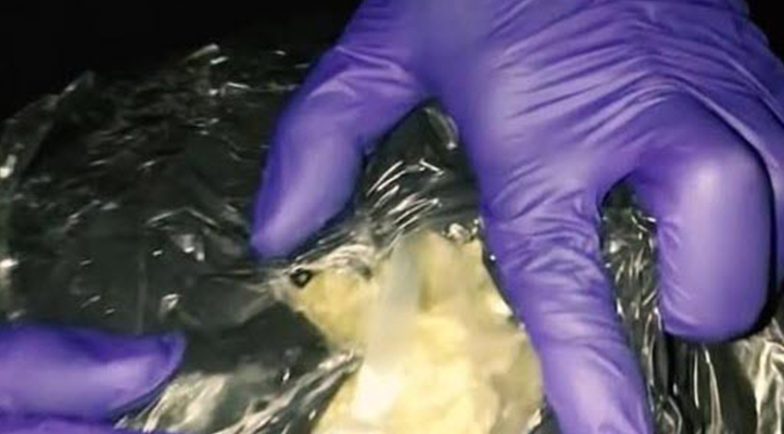 Çanakkale’de durdurulan otomobilde 2 kilo skunk ele geçirildi; 3 tutuklama