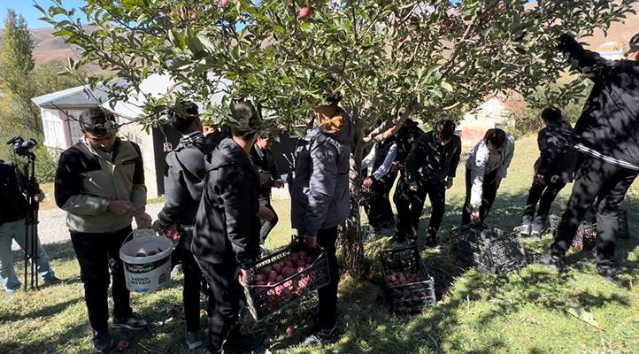 Tarım öğrencileri elma hasadı gerçekleştirdi