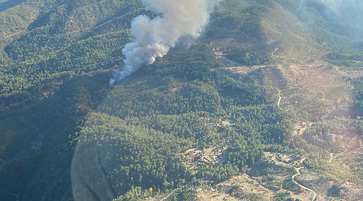 Muğla’da orman yangını
