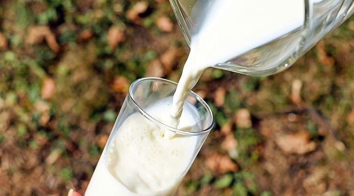 Çiğ süt primi yılın son 3 ayı için litre başına 1 lira olarak uygulanacak