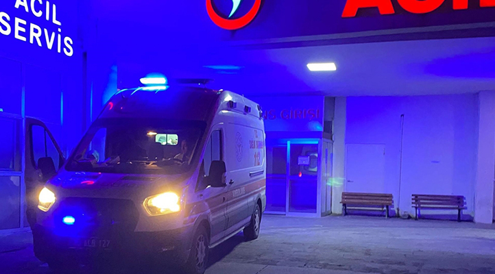 Ankara’nın Çubuk ilçesinde köpeklerin saldırısına uğrayan iki çocuk yaralandı