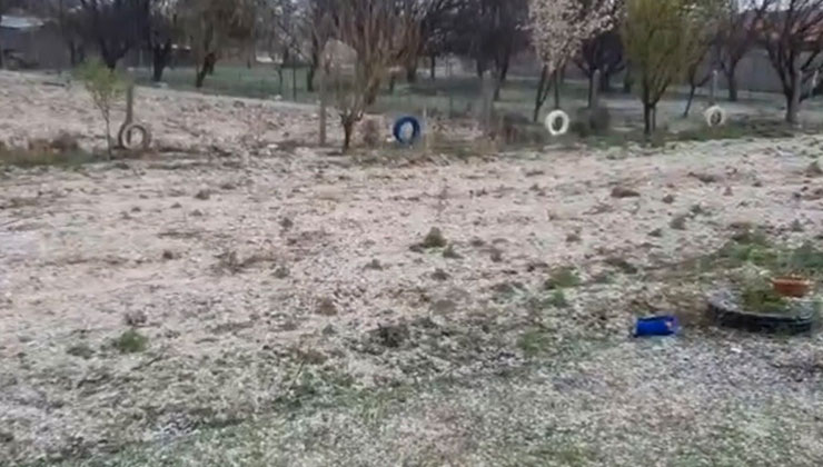 Dolu, hububatta kök hastalığına davetiye çıkardı