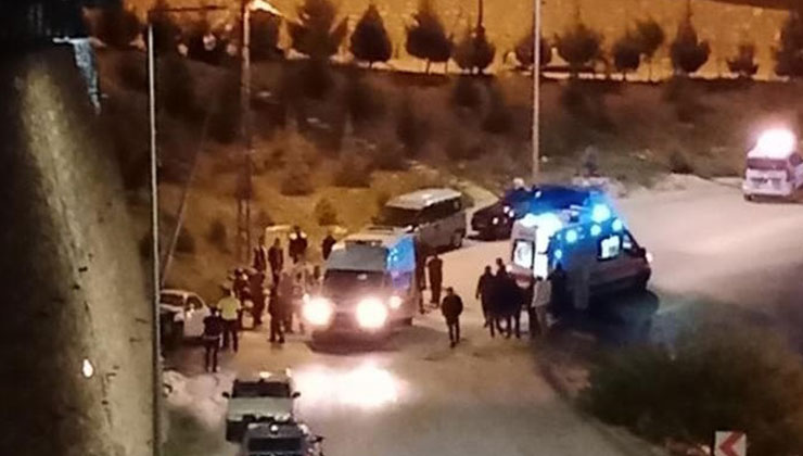 Elazığ’da otomobil elektrik direğine çarptı : 3 yaralı