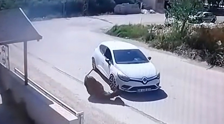 Otomobiliyle eşeğe kasıtlı olarak çarpan sürücünün ehliyetine el konuldu