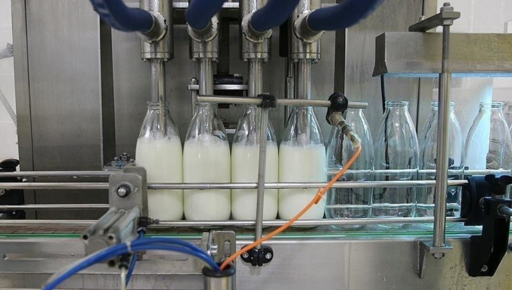 Toplanan inek sütü miktarı şubatta 857 bin 821 ton oldu