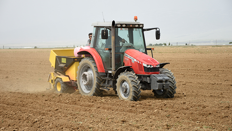 Turfanda patates deposu Niğde’de ekim alanları azaldı