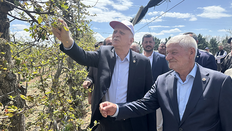 TZOB Genel Başkanı Bayraktar,  dondan etkilenen elma bahçelerini inceledi