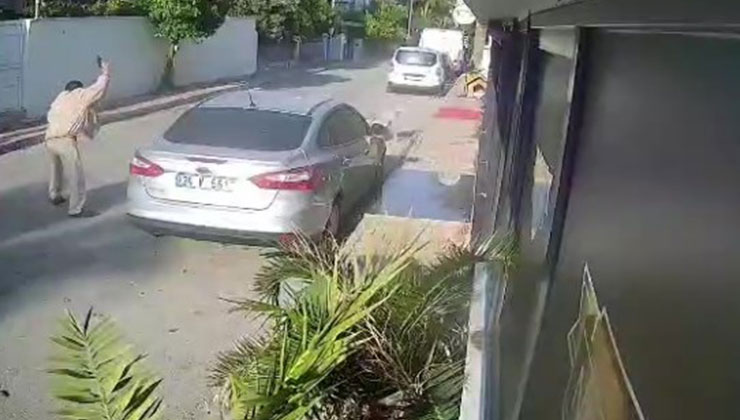 Yaşlı adam kendisine saldıran köpeği vurdu