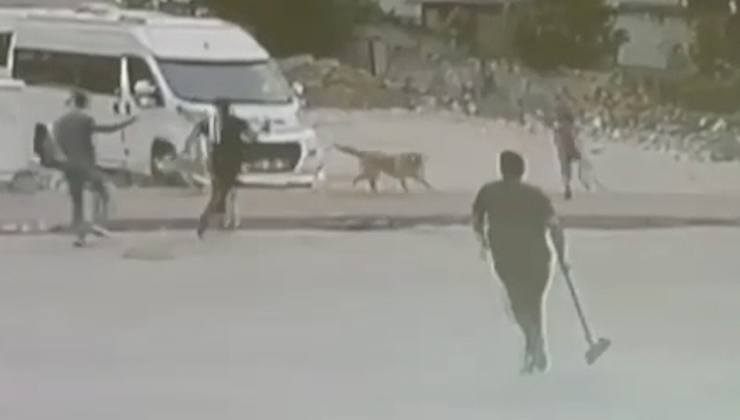 Adana’da sahipsiz köpeklerin saldırdığı 2 çocuk esnafın yardımıyla kurtarıldı