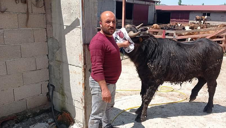 Afyonkarahisar’da komşuların arazi kavgası kanlı bitti: 1 ölü