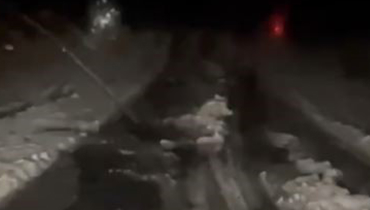 Ardahan’da dolu etkili oldu
