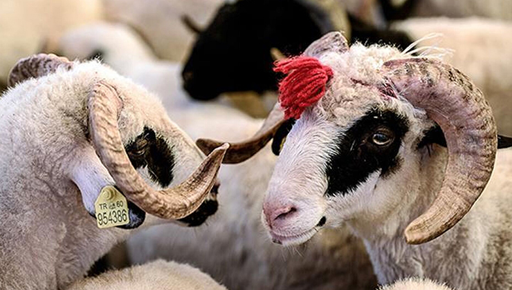 Bakan açıkladı: Kurban Bayramı tatili 9 gün olacak mı?