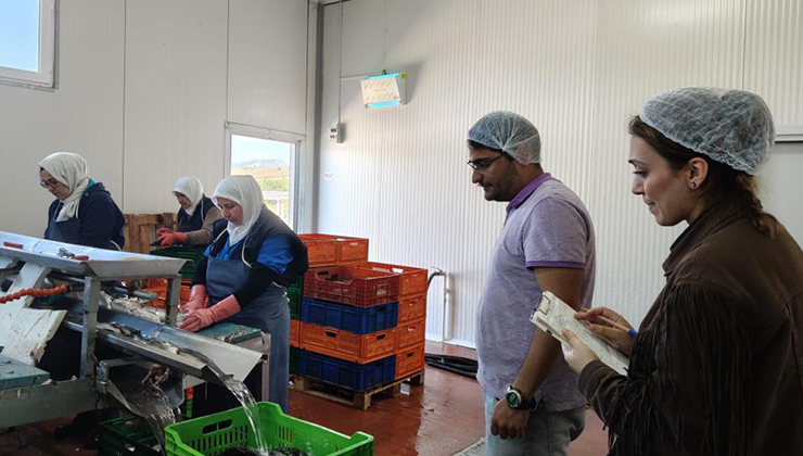 Beyşehir Gölüne kıyısı olan ilçedeki balık fabrikaları denetlendi