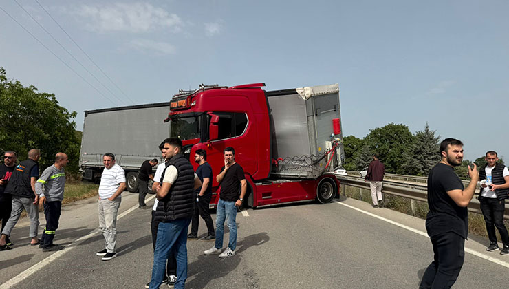 Bir arı yüzlerce kişiyi mağdur etti