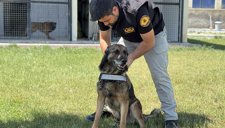Görevini tamamlayan emniyetin bomba arama köpeği “Artur” ekip arkadaşından ayrılmayacak