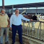 Hayvan gübreleri tarım arazileri ve geri dönüşümde kullanılacak