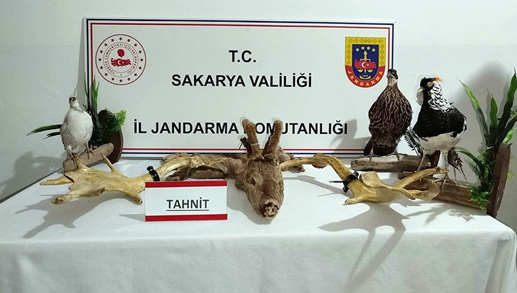 Hayvanat bahçesi gibi ev: Evinden çıkanlar hayrete düşürdü