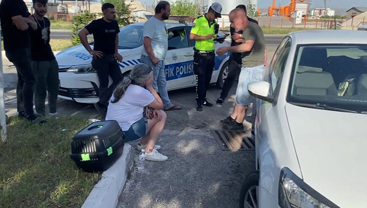 Kadın sürücü önce ağlayıp şoka girdi, sonra kedisine su verdi