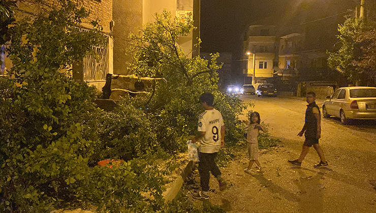 Karabük’te fırtınada ağaçlar devrildi