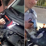 Otomobilin motor bölümüne giren yavru kedi 4 saatte kurtarıldı