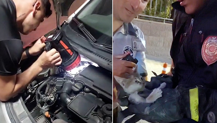 Otomobilin motor bölümüne giren yavru kedi 4 saatte kurtarıldı