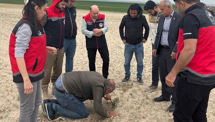 Kulu’da tarım alanlarında kontroller devam ediyor