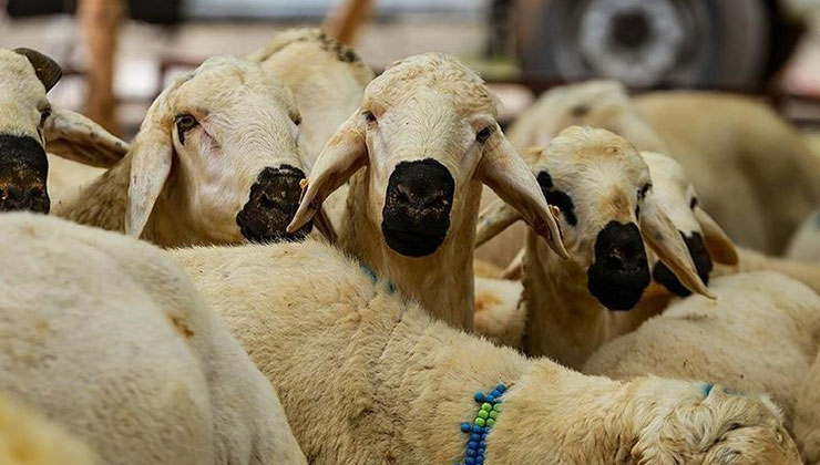 Kurban Hizmetlerinin Uygulanmasına Dair Tebliğ, Resmi Gazete’de