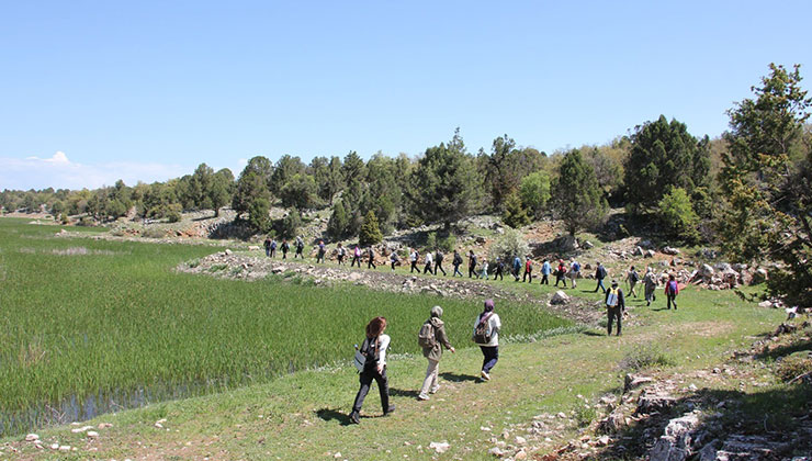 Üniversite öğrencileri, Beyşehir’in botanik hazinelerini keşfetti