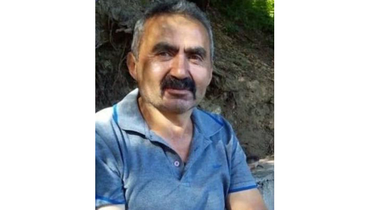 Üzerine ağaç devrilen kesim işçisi öldü