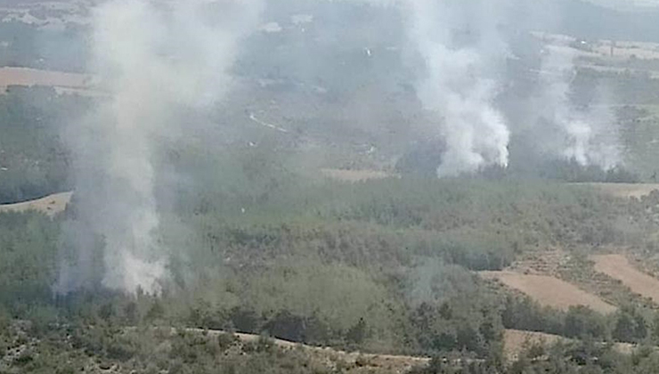 Adana’da orman yangını çıktı