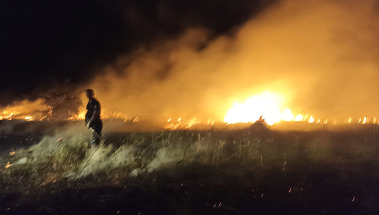 Akçadağ’da bahçe ve sazlık yangını: 25 Kayısı ağacı zarar gördü