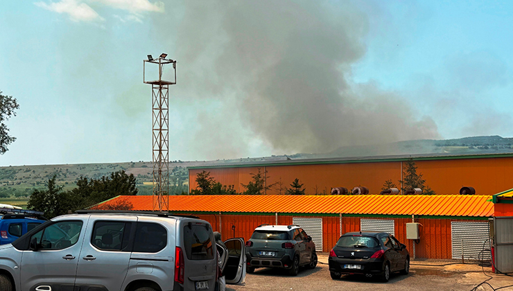 Ankara’da yumurta tesisinde yangın; 150 bin tavuk öldü