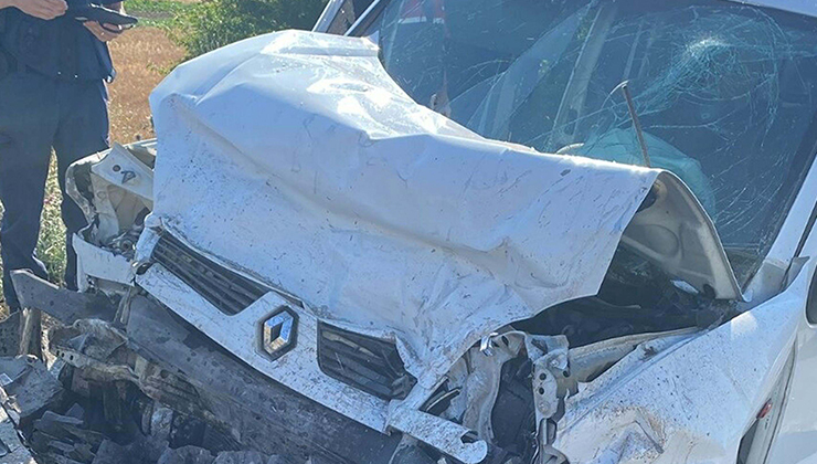 Anne ve oğlu kazada yaşamını yitirdi