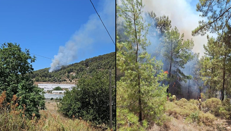 Antalya’da çıkan orman yangınına müdahale ediliyor