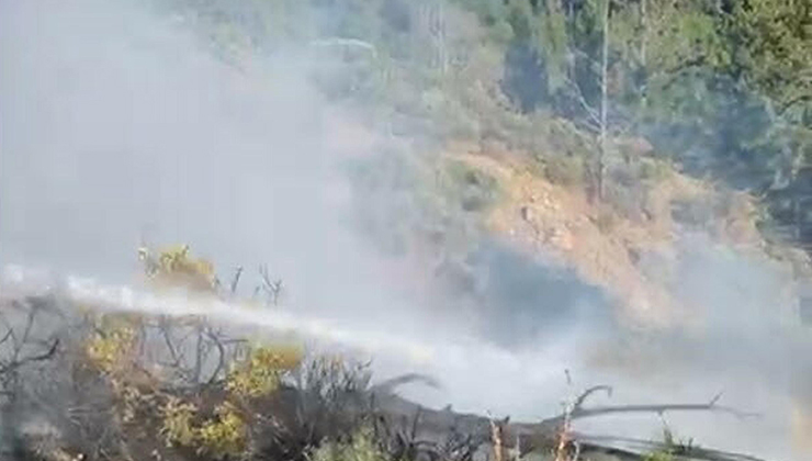 Aydın ve Muğla’daki orman yangınları söndürüldü