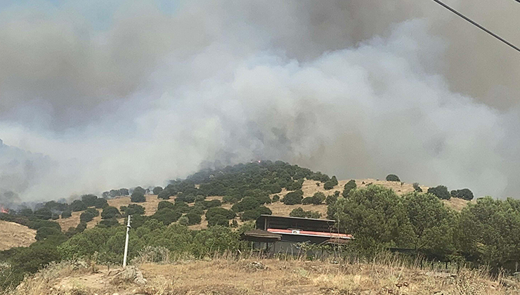 Aydın’da orman yangını kontrol altında; 320 hektar alan zarar gördü