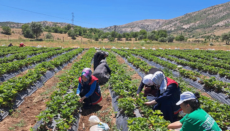 Bozkır’da kadın çiftçilere yönelik eğitim ve destek ziyaretleri