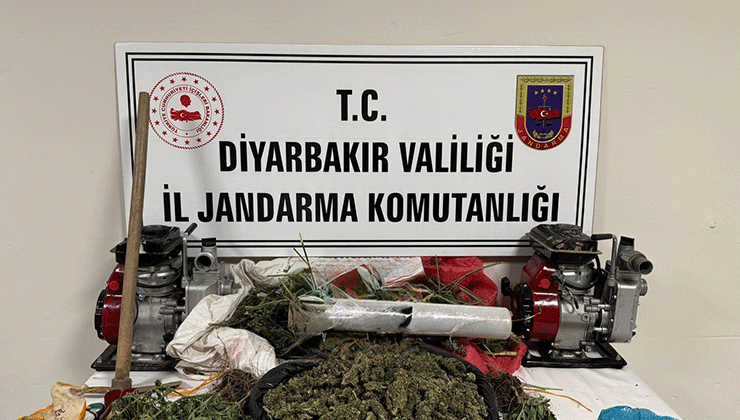 Diyarbakır’da kenevir tarlasını damlama sistemiyle suladılar