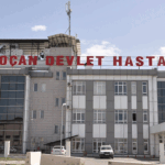 Elazığ’da kenenin ısırdığı kadın tedavi altında
