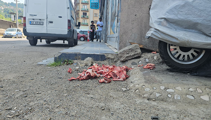 Eti temizlenen yağ ve kemikler sokağa bırakıldı