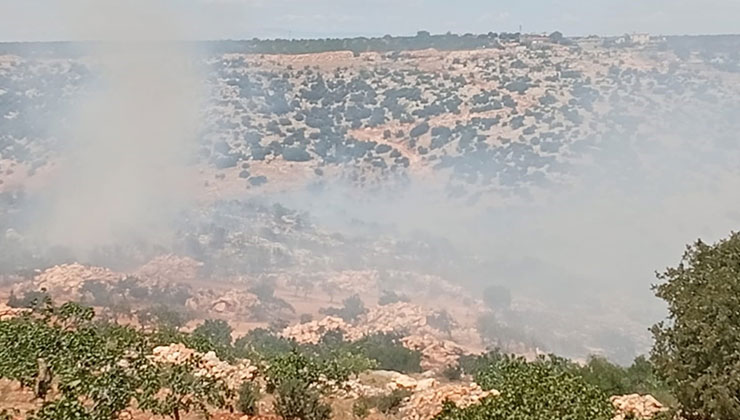 Gaziantep’te fıstık ve zeytin bahçelerinde yangın