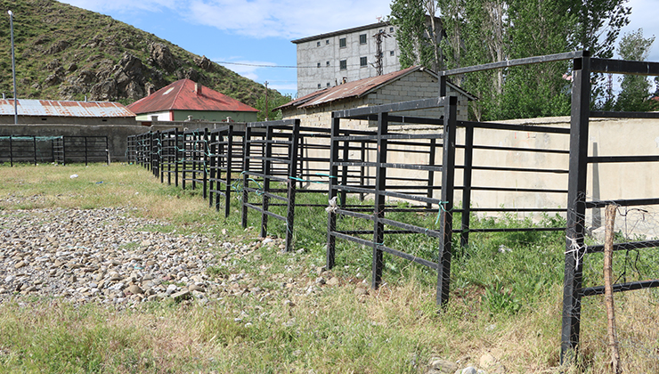 Hakkari’nin 3 ilçesinde bayram öncesi şap karantinası: Hayvan pazarları kapatıldı