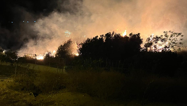 Hatay’da ağaçlık alanda çıkan yangın söndürüldü