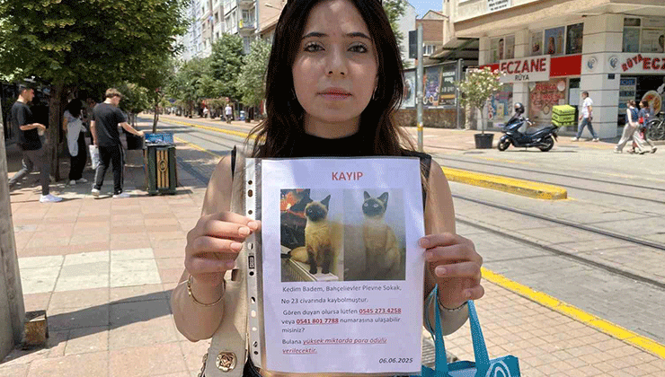 Herkes bayramı kutlarken o sokak sokak kayıp kedisini aradı