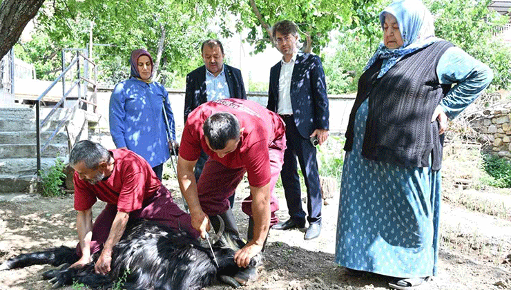 Isparta Belediyesi evlere giderek tek tek kurbanları kesti