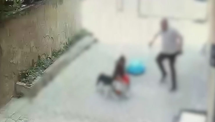 İstanbul’da pitbull cinsi köpeğin saldırdığı çocuk yaralandı