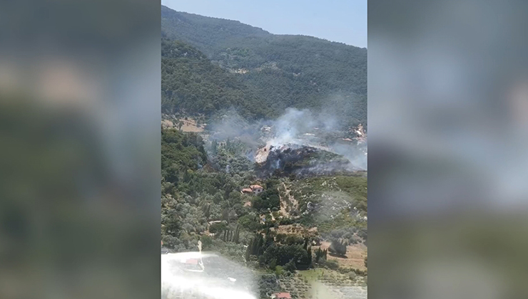 İzmir’in Kemalpaşa ilçesinde çıkan orman yangınına müdahale ediliyor