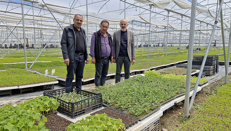Karaman’da bir çiftçi kurduğu serada 5 milyon fide üretiyor